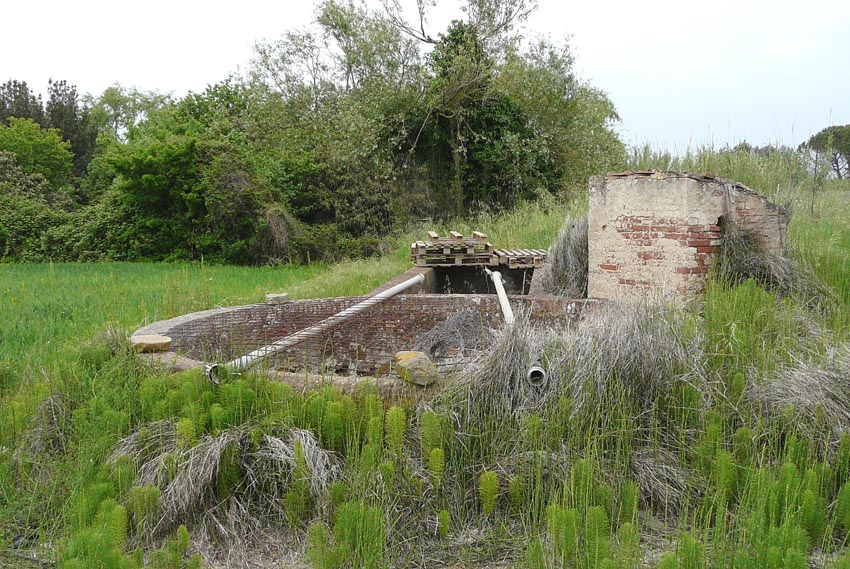 Pozzo interessante a Fiorentina (Piombino -LI)